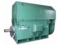 林周Y系列6KV高压电机